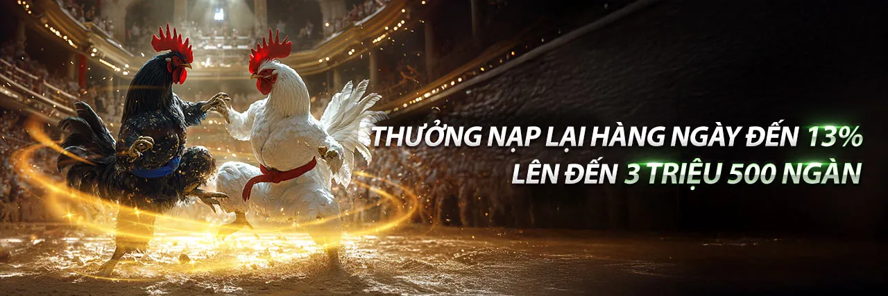 Đá Gà Trực Tuyến 8ket Code